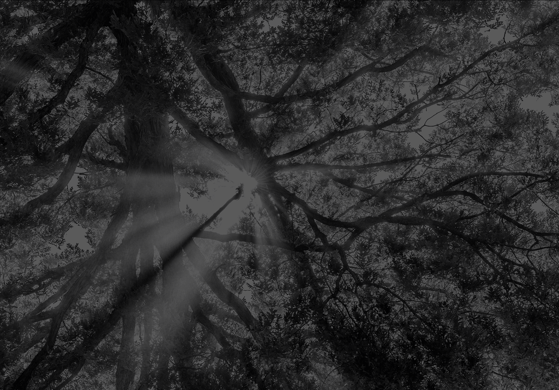 Prozess- und Energieanlagenplanung