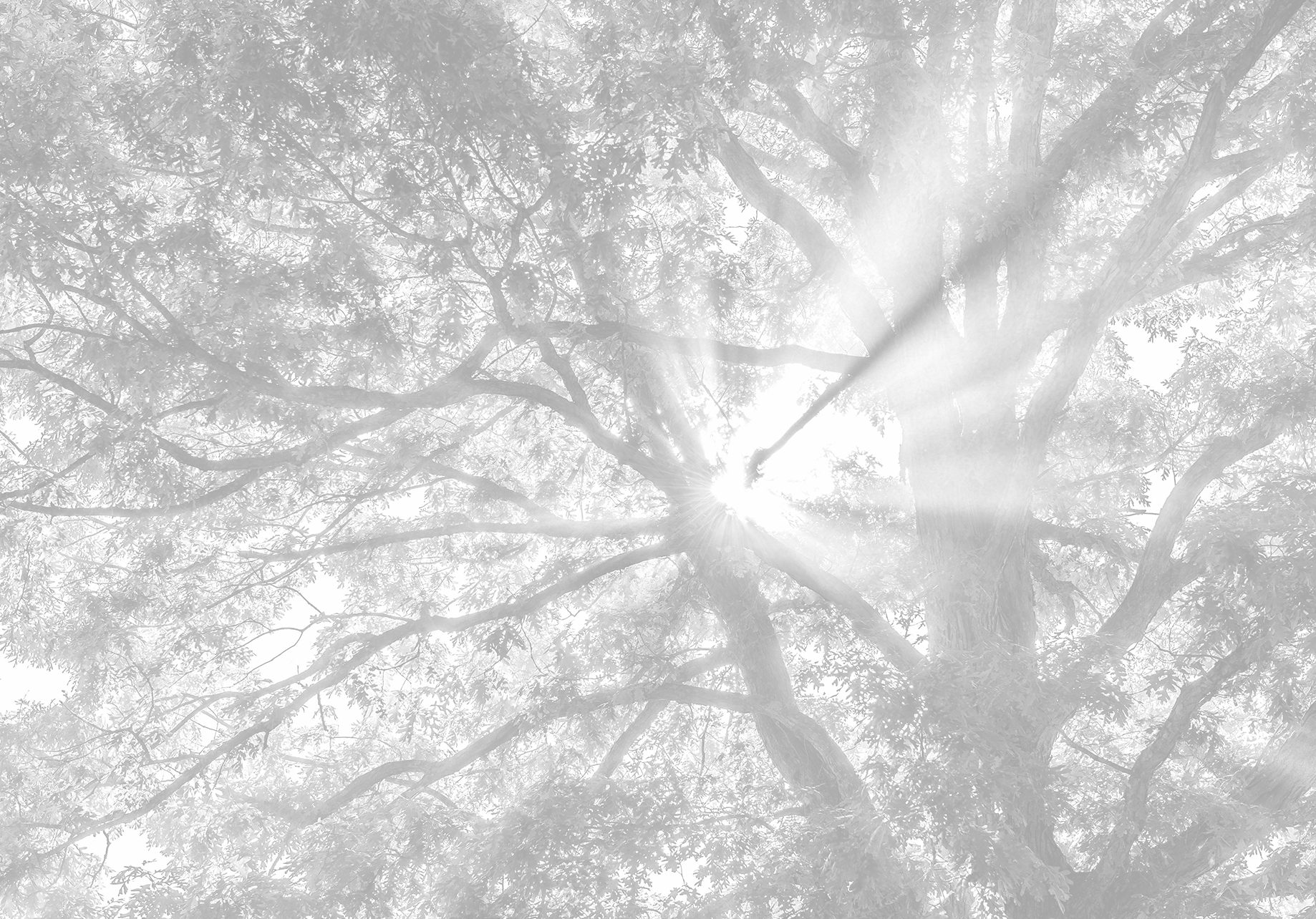 Verfahrenstechnik und Optimierung